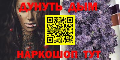 индика Анжеро-Судженск