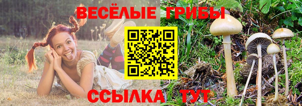 Гашиш  Вход с VPN  NBOMe  Кокаин  Баксан  Каннабис  ГАШ  МЕФ кристаллы  Лсд 25 