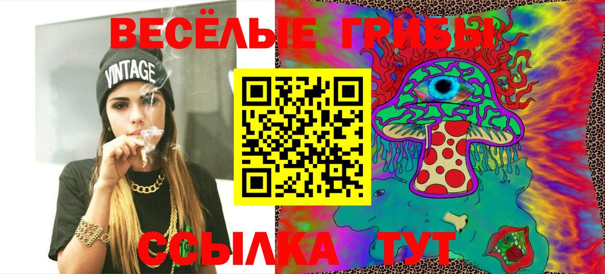 Галлюциногенные грибы Psilocybe Баксан