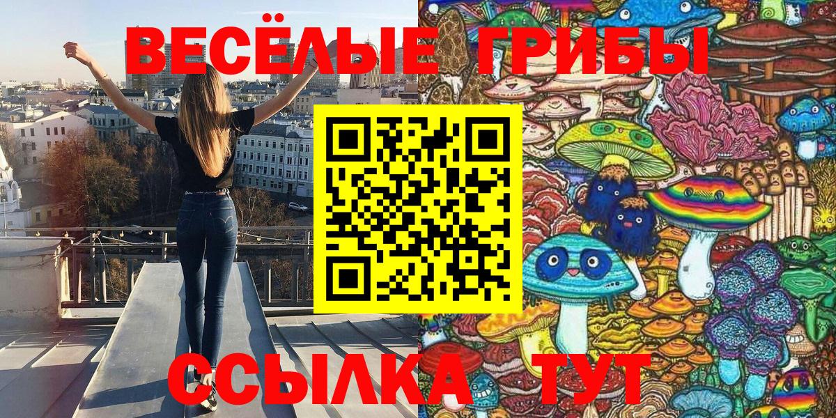 Баксан  Галлюциногенные грибы GOLDEN TEACHER  Вход с VPN 